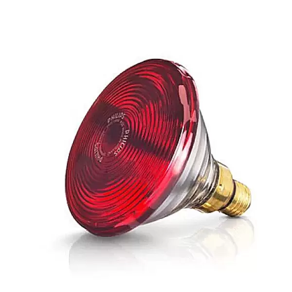 Bóng đèn hồng ngoại Philips 150W